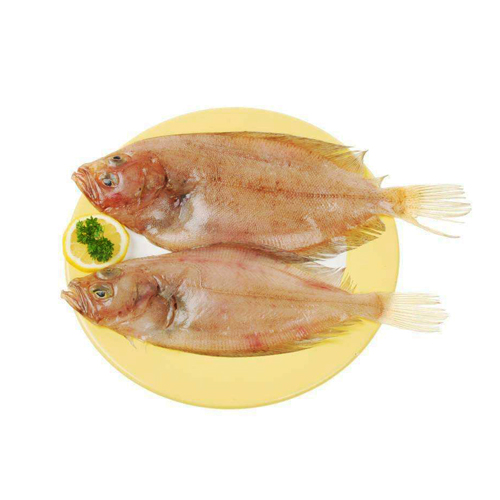 比目魚(yú)